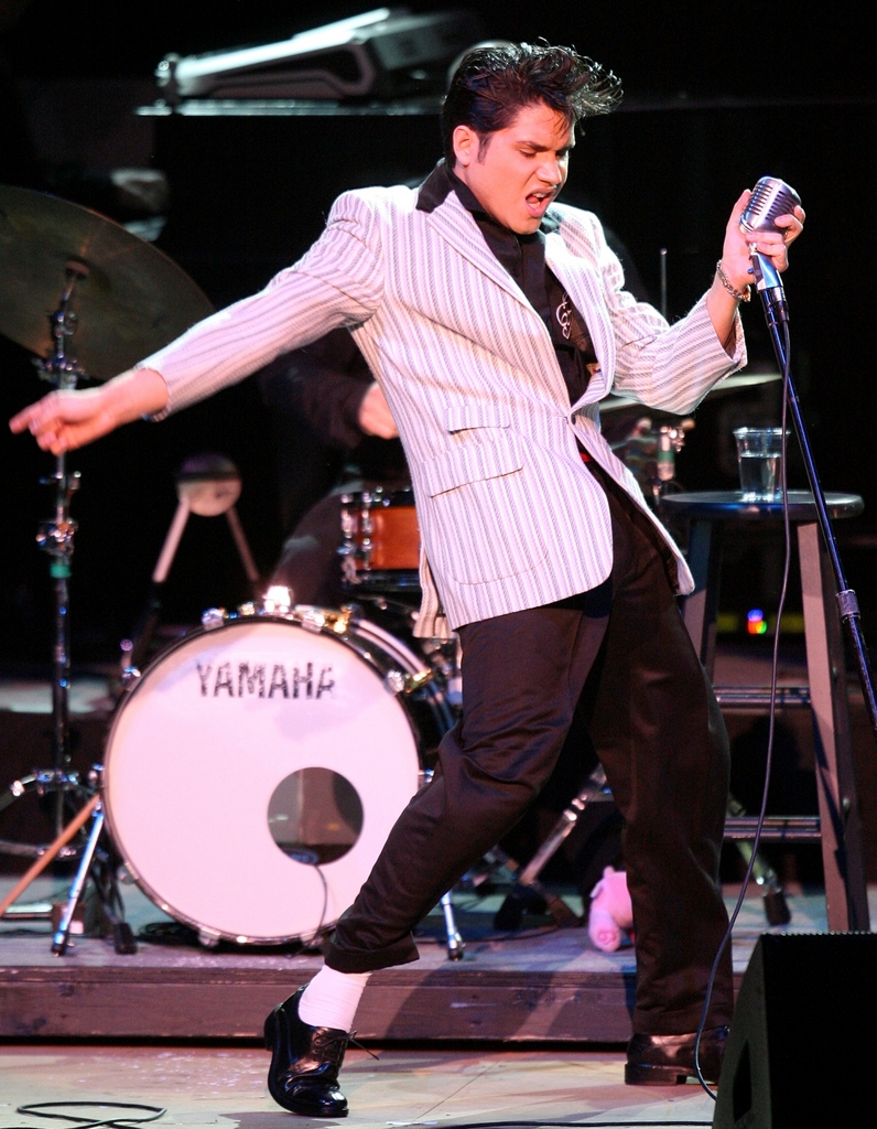 Elvis In Concert