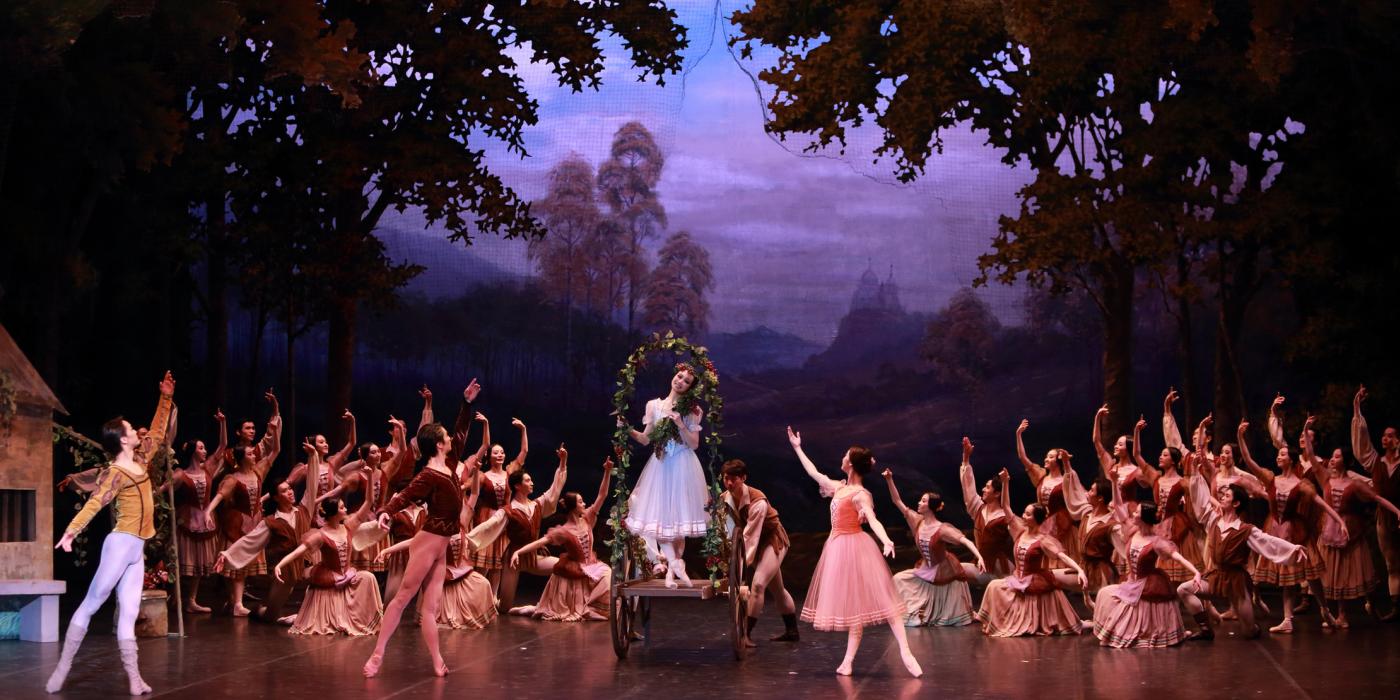 Ballet in forest backdrop. 