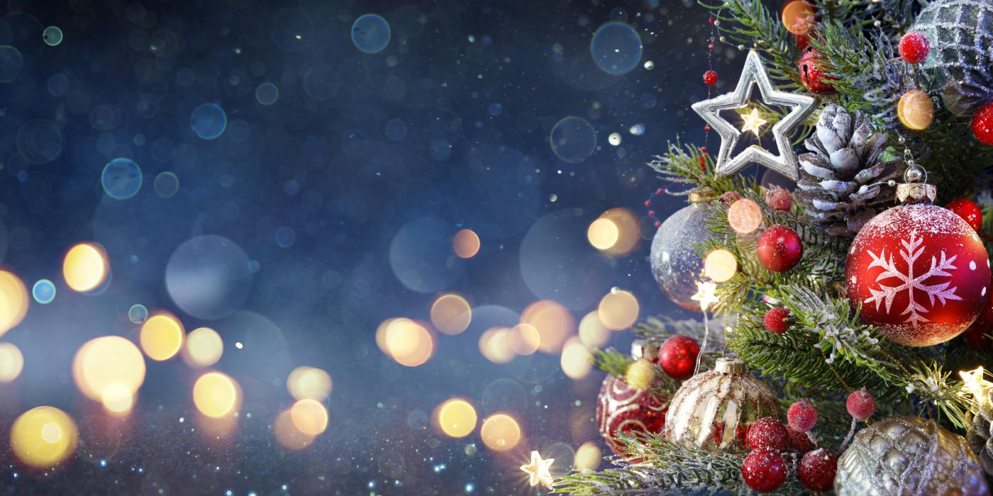 Under the Stars at Chandler Museum - Holly Jolly Christmas