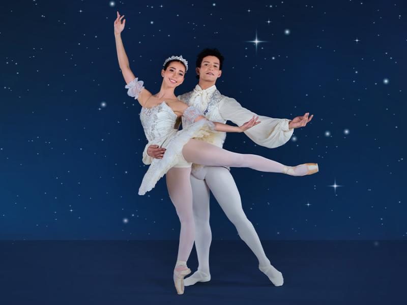 Two ballerinas dancing against a night sky background