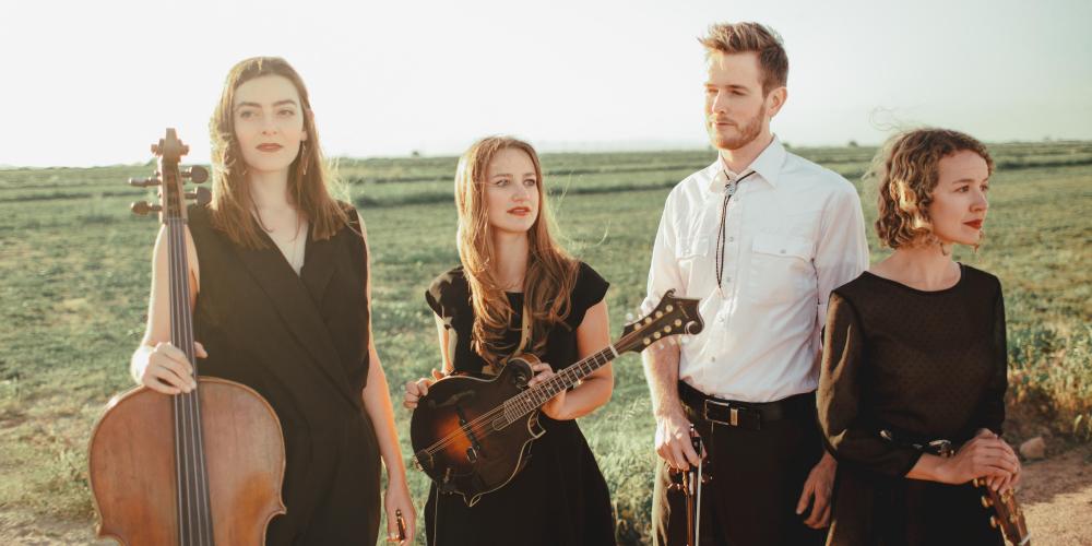 Three women and a man stand in a green field, the golden glow of sunset on their faces as they hold their string instruments. 