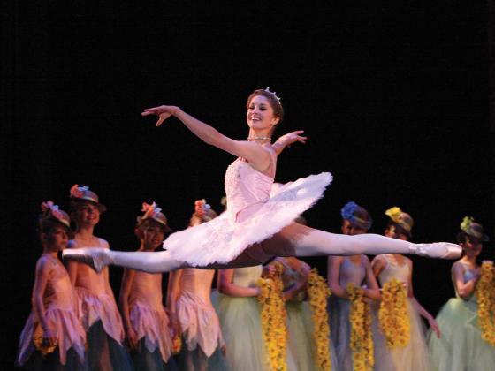 Ballet Etudes Sleeping Beauty Ballerina jumping through the air