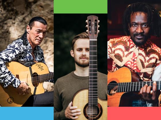 Four panels displaying the four guitarists participating in the concert - Lulo Reinhardt, Soenke Meinen, Niwel Tsumbu, Alexandra Whitingham. 