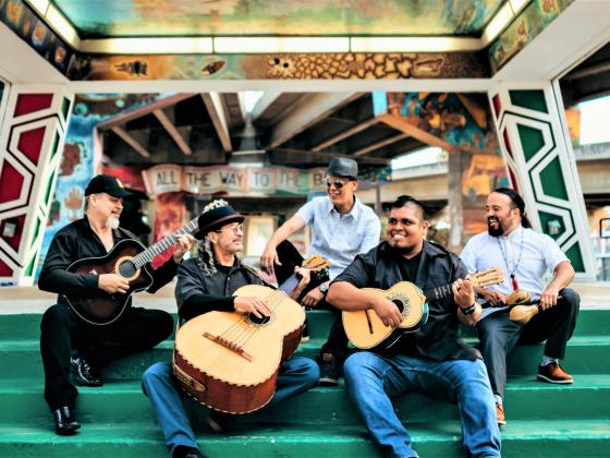 Five men sit on green stairs, some of them holding string instruments.
