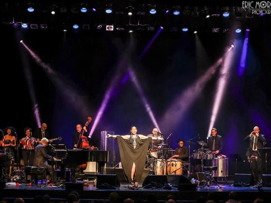 Pink Martini full band playing on stage