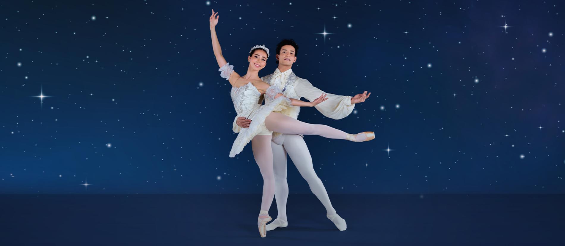Two ballerinas dancing against a night sky background